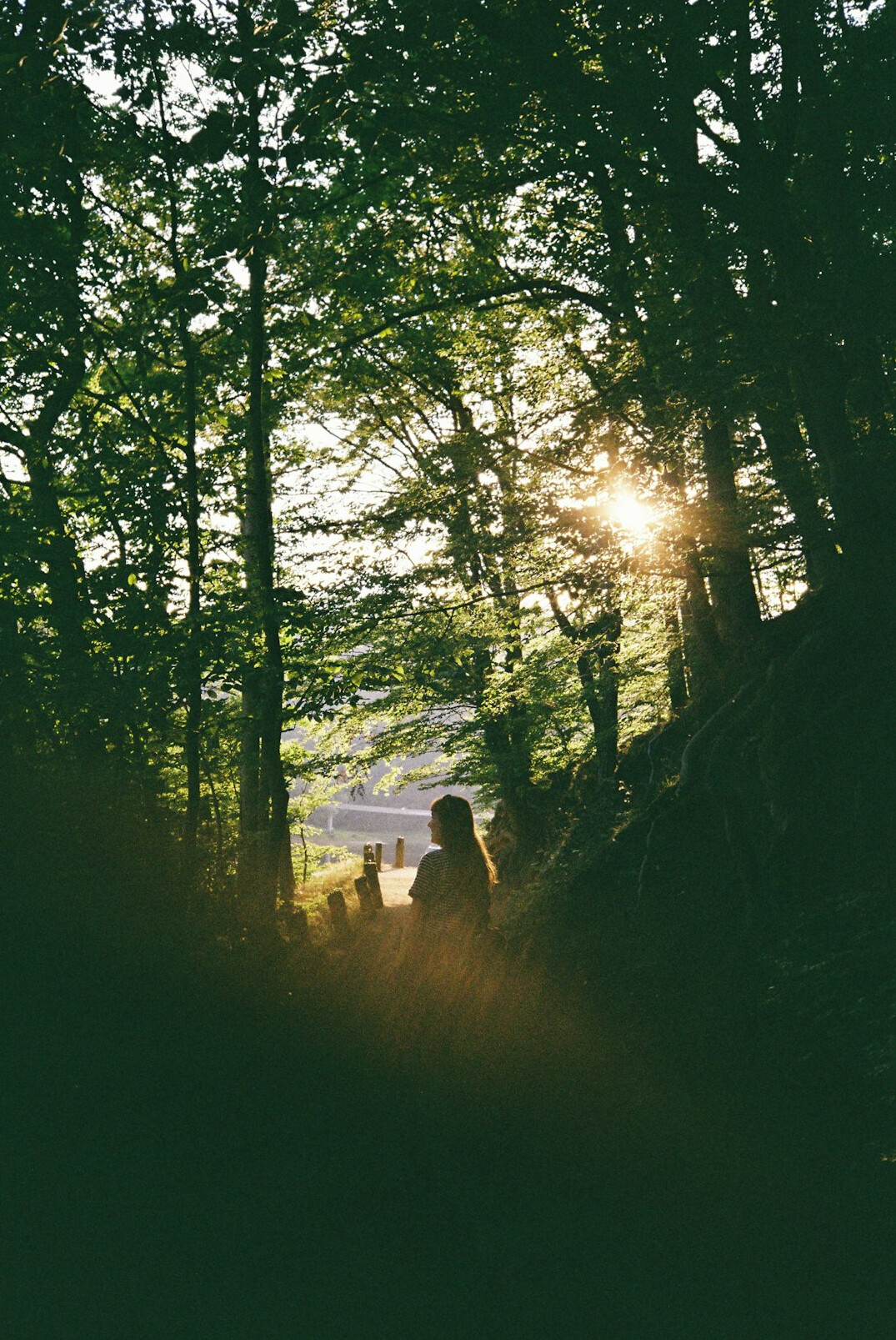 person meditating in nature